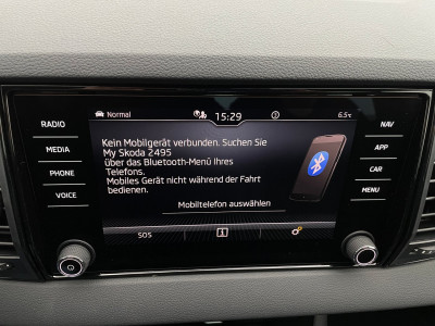 Skoda Karoq Gebrauchtwagen