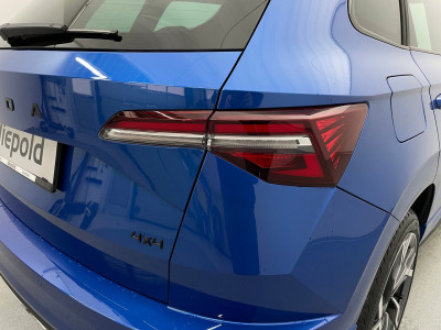 Skoda Karoq Gebrauchtwagen