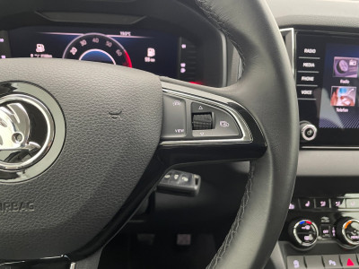 Skoda Karoq Gebrauchtwagen