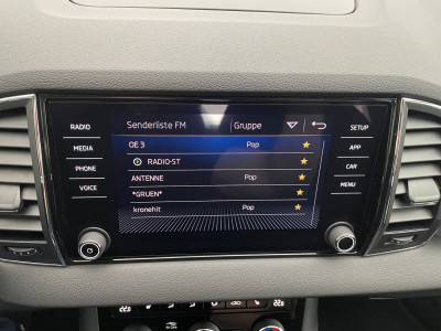 Skoda Karoq Gebrauchtwagen