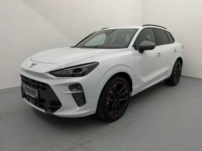 Cupra Terramar Gebrauchtwagen Cupra Terramar Gebrauchtwagen