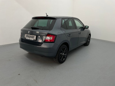 Skoda Fabia Gebrauchtwagen