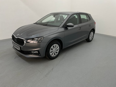 Skoda Fabia Gebrauchtwagen Skoda Fabia Gebrauchtwagen