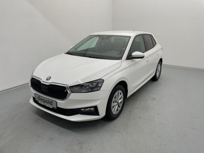 Skoda Fabia Gebrauchtwagen Skoda Fabia Gebrauchtwagen
