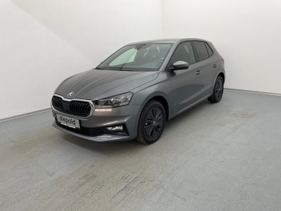 Skoda Fabia Gebrauchtwagen Skoda Fabia Gebrauchtwagen