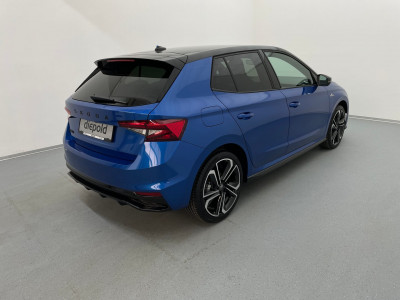 Skoda Fabia Gebrauchtwagen Skoda Fabia Gebrauchtwagen