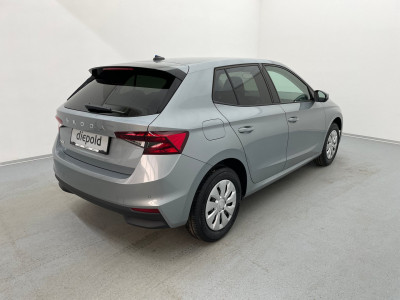 Skoda Fabia Gebrauchtwagen Skoda Fabia Gebrauchtwagen