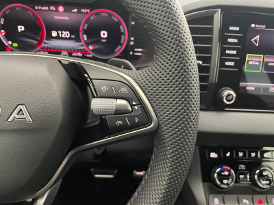 Skoda Karoq Gebrauchtwagen