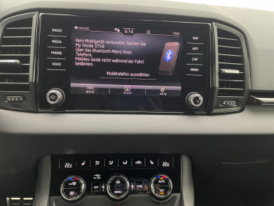 Skoda Karoq Gebrauchtwagen