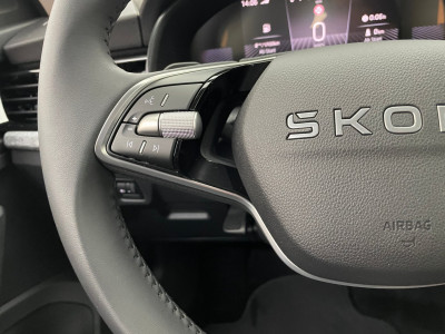 Skoda Kamiq Gebrauchtwagen Skoda Kamiq Gebrauchtwagen