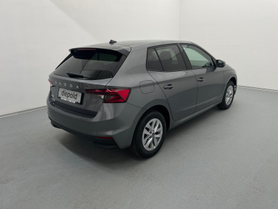 Skoda Fabia Gebrauchtwagen Skoda Fabia Gebrauchtwagen