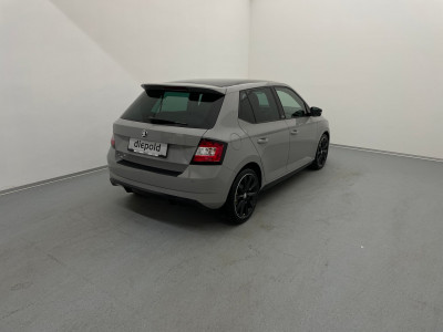 Skoda Fabia Gebrauchtwagen