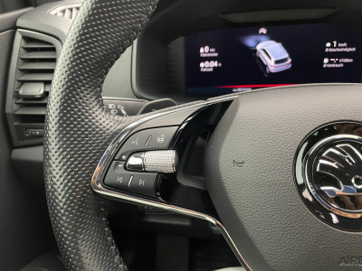 Skoda Karoq Gebrauchtwagen Skoda Karoq Gebrauchtwagen