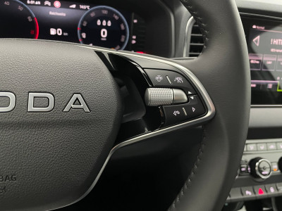 Skoda Karoq Gebrauchtwagen Skoda Karoq Gebrauchtwagen