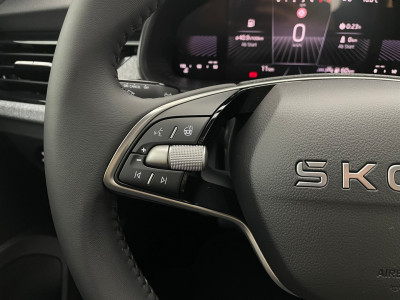 Skoda Kamiq Gebrauchtwagen Skoda Kamiq Gebrauchtwagen