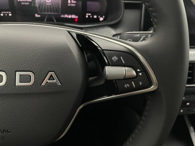 Skoda Kamiq Gebrauchtwagen Skoda Kamiq Gebrauchtwagen