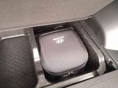 Hyundai Santa Fe Tageszulassung