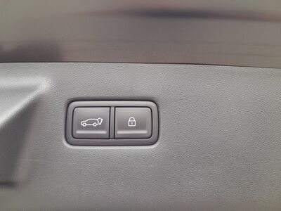 Hyundai Santa Fe Tageszulassung