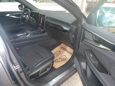 Renault Austral Gebrauchtwagen