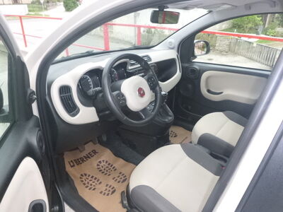 Fiat Panda Gebrauchtwagen