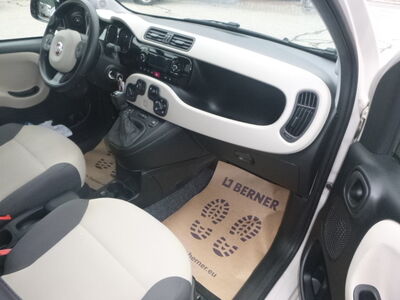 Fiat Panda Gebrauchtwagen