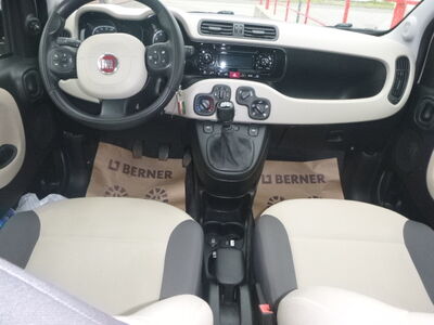 Fiat Panda Gebrauchtwagen