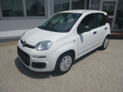 Fiat Panda Gebrauchtwagen Fiat Panda Gebrauchtwagen