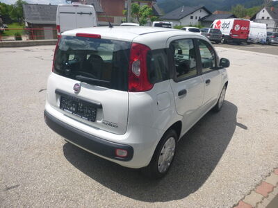 Fiat Panda Gebrauchtwagen Fiat Panda Gebrauchtwagen