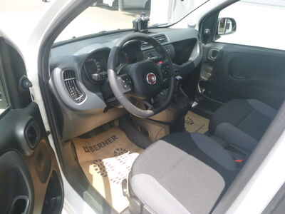 Fiat Panda Gebrauchtwagen Fiat Panda Gebrauchtwagen