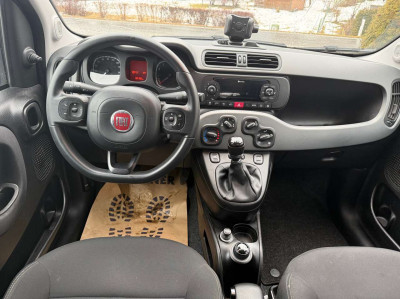 Fiat Panda Gebrauchtwagen Fiat Panda Gebrauchtwagen
