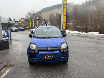 Fiat Panda Gebrauchtwagen Fiat Panda Gebrauchtwagen