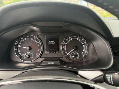 Skoda Scala Gebrauchtwagen