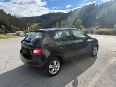 Skoda Fabia Gebrauchtwagen Skoda Fabia Gebrauchtwagen