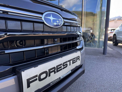 Subaru Forester Vorführwagen Subaru Forester Vorführwagen