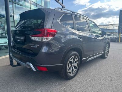 Subaru Forester Gebrauchtwagen Subaru Forester Gebrauchtwagen