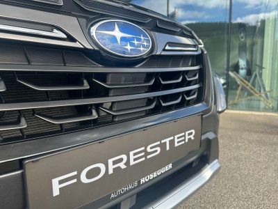 Subaru Forester Gebrauchtwagen Subaru Forester Gebrauchtwagen
