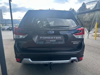 Subaru Forester Gebrauchtwagen Subaru Forester Gebrauchtwagen