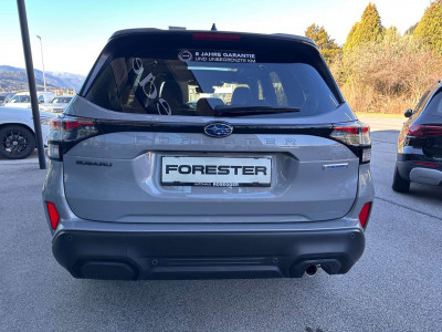 Subaru Forester Vorführwagen Subaru Forester Vorführwagen