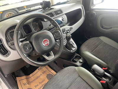 Fiat Panda Gebrauchtwagen