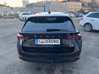Skoda Octavia Gebrauchtwagen Skoda Octavia Gebrauchtwagen