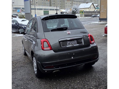 Fiat 500 Gebrauchtwagen