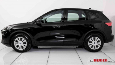 Ford Kuga Vorführwagen