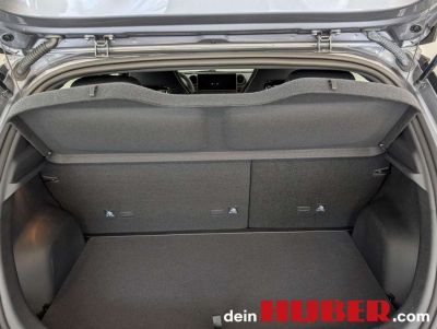 BYD Dolphin Neuwagen