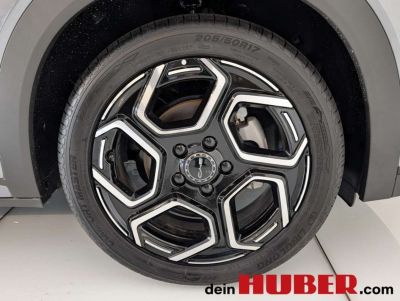 BYD Dolphin Neuwagen