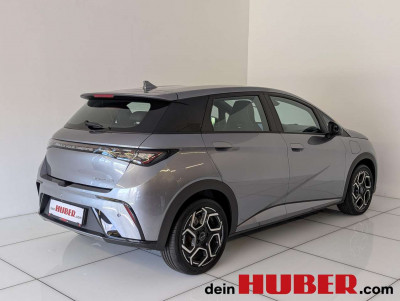 BYD Dolphin Neuwagen BYD Dolphin Neuwagen