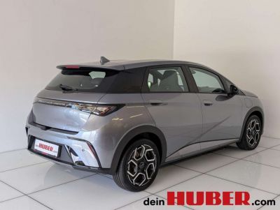 BYD Dolphin Neuwagen