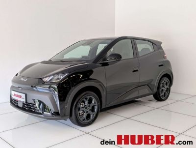 BYD Dolphin Neuwagen