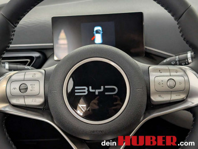 BYD Dolphin Vorführwagen BYD Dolphin Vorführwagen