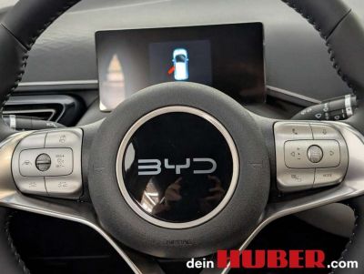 BYD Dolphin Neuwagen