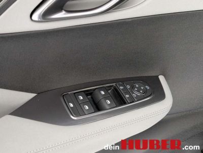 BYD Dolphin Neuwagen